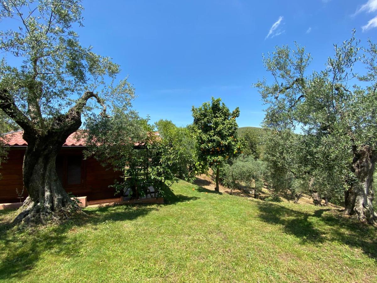 Villa I Giardini Di Margius Itri Exterior foto